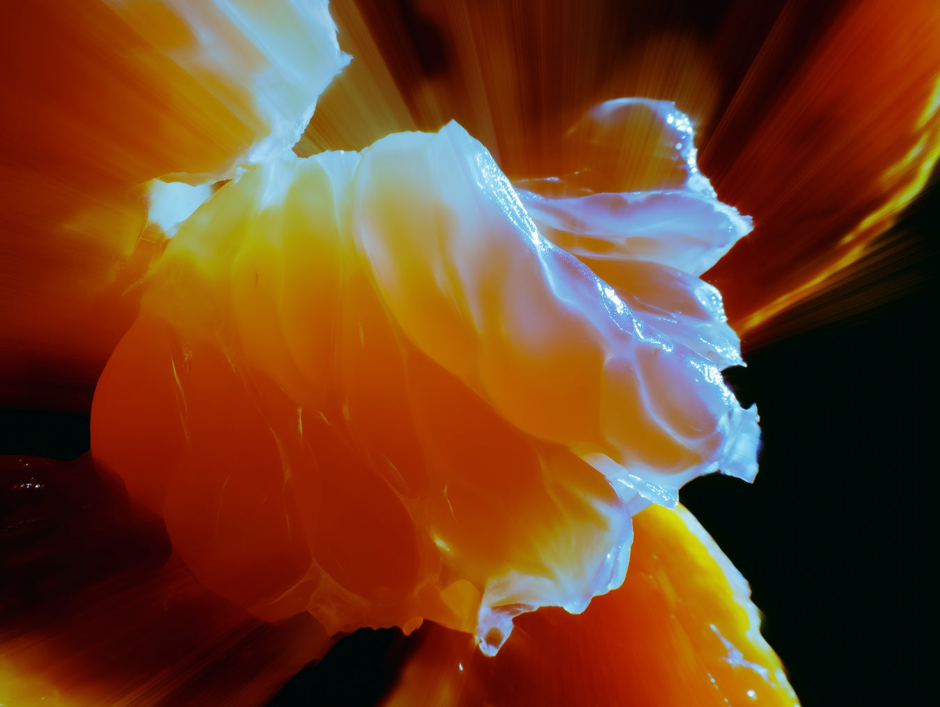 Citrus