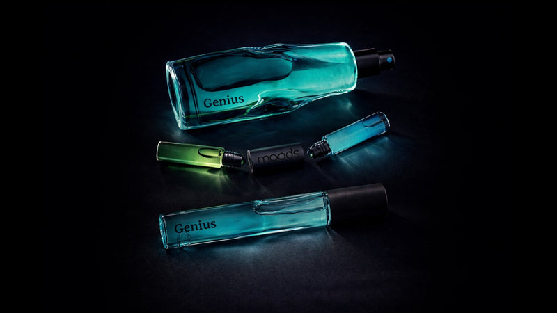 Cognitive Support & Mental Clarity